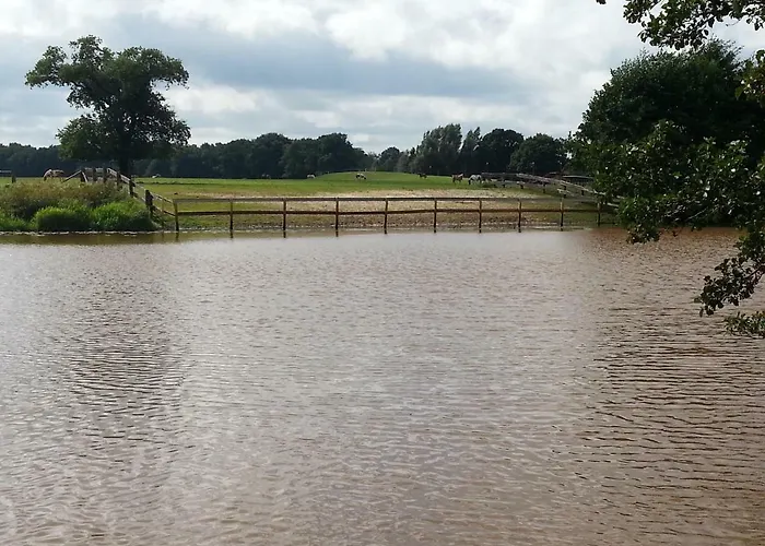 Ferienhaeuser Im Ferienhausgebiet Hof Beel Prázdninový dům Oberlangen