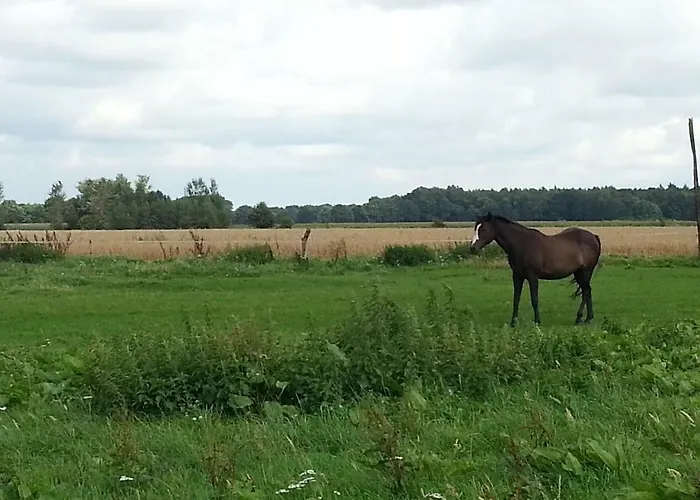 Ferienhaeuser Im Ferienhausgebiet Hof Beel Feriehus
